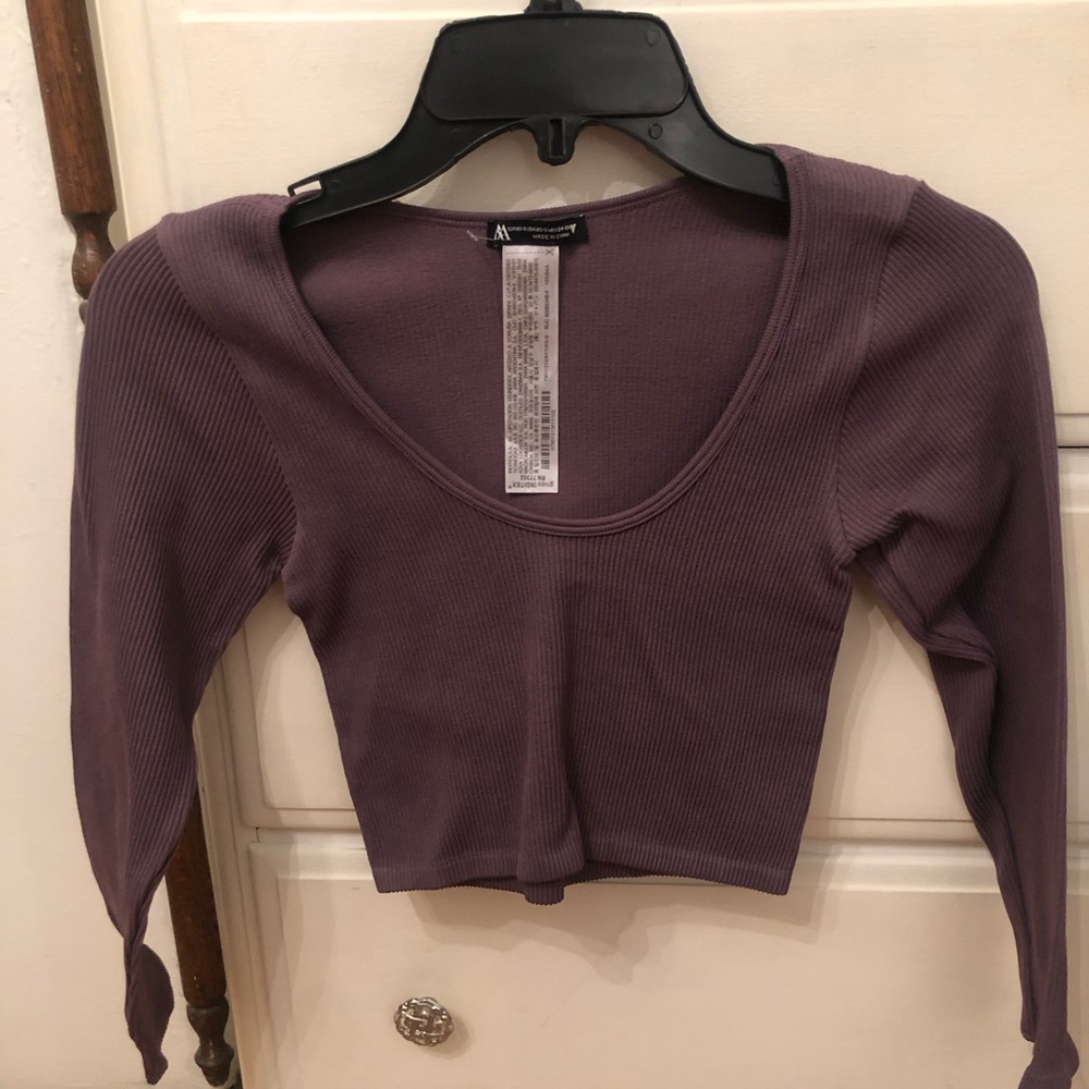 Zara Ribbed Plum Crop Top